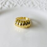 Anillo Chunky Caparazón