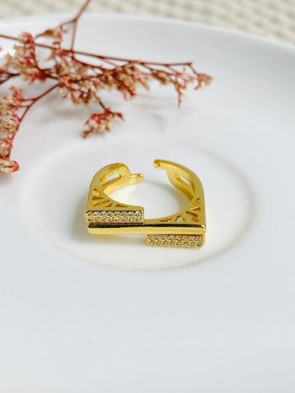 Anillo Plano doble