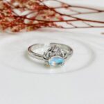 Anillo Cangrejito Plateado