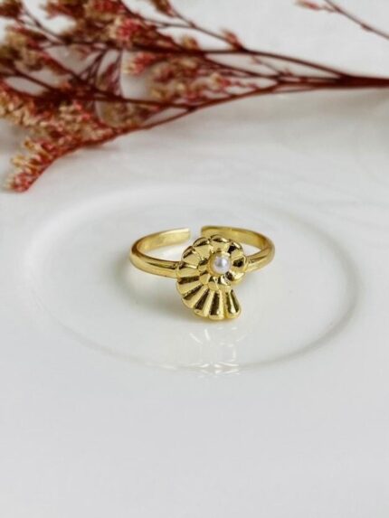 Anillo Caracol Lapas