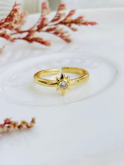 Anillo Estrella fugas