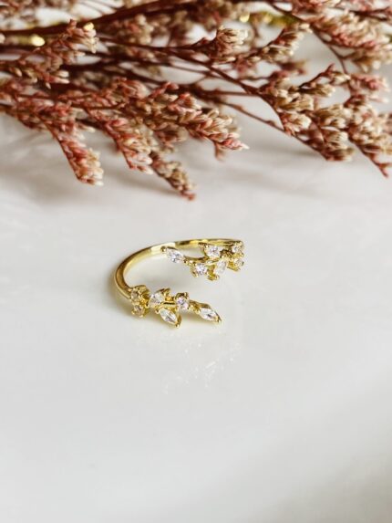 Anillo Maray