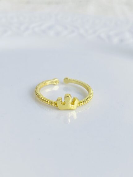 Anillo Coronita