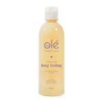Acondicionador jarabe de mango