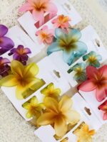 Set caimán hawaiano x 3 - Imagen 2
