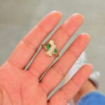 Anillo Cactus Coquette