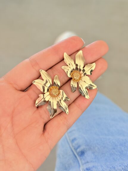 Maxi aretes Radiante