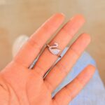 Anillo Cisne