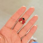 Anillo Mariquita Plana